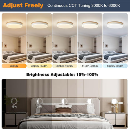 🔥Hot Sale! Dimmable LED Light Fixtures | 3000K-6000K Adjustable Color Temperature✨ Home Decor Lighting for Indoor Use
